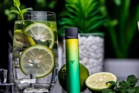 蔚公子草本雾化器：纯天然健康，与传统电子烟有何不同