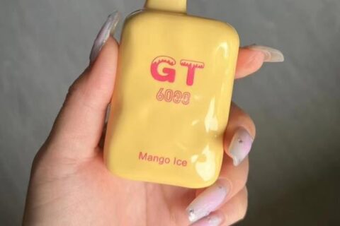 GT冰盒一次性电子烟价格多少？