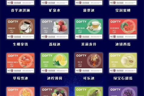 飞雾cofty烟弹多少钱一盒？