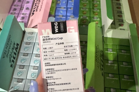 5000口一次性电子烟有哪些？三大热门选择