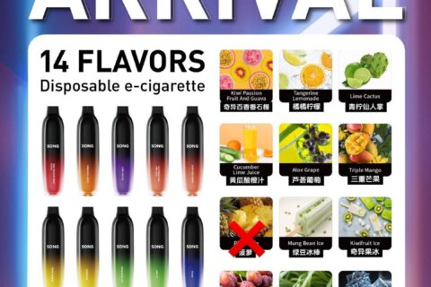 崧炮一次性电子烟价格多少？