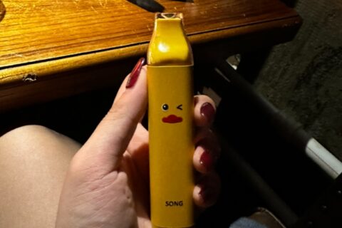 song小黄鸭电子烟价格多少？