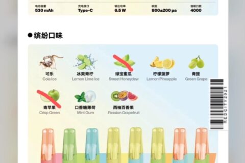 雪加一次性电子烟海外版价格多少？
