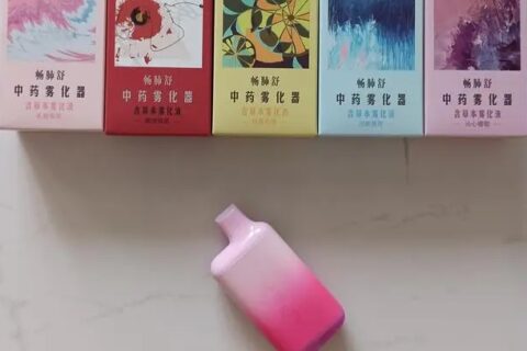 遇健本草中药雾化器价格多少？