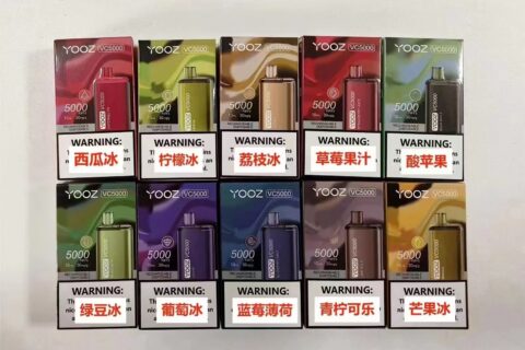 柚子一次性电子烟价格多少？