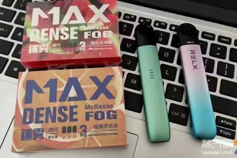 有哪些电子烟品牌是被政府认可的？