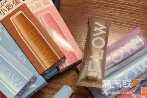 福禄小彩蛋一次性电子烟多少钱一只？
