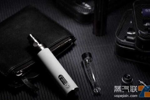 wdg一次性电子烟，wdg奶茶杯在哪买？