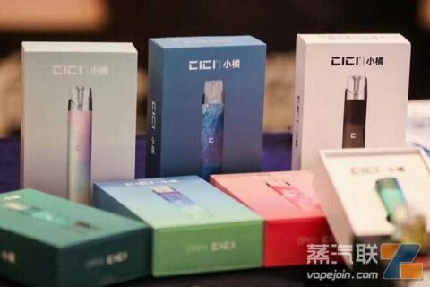 本雾楚韵一次性电子烟售价，本雾楚韵哪里买？