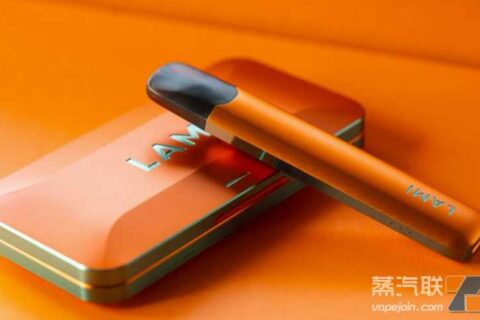 徕米电子烟官网是哪个？