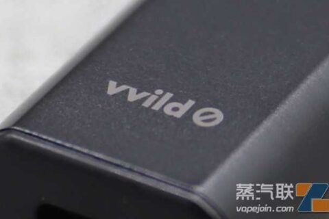 vvild小野电子烟网上购买价钱