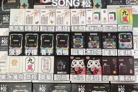 崧盒一次性电子烟口味推荐
