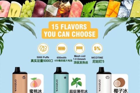 kazuo一次性电子烟6000口怎么样？
