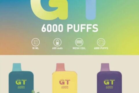 GT冰盒一次性电子烟价格多少？