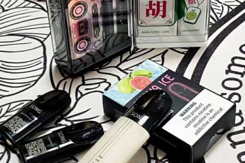 小崧一次性电子烟在哪买？