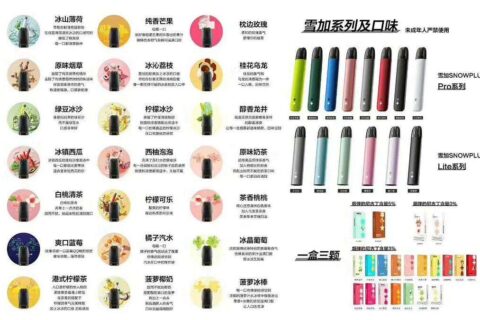 雪加SNOWPLUS Pro口味评测（雪加烟弹口味哪个好？）