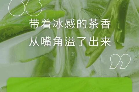 悦刻无限冷泡龙井口味评测
