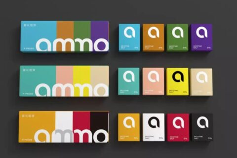 ammo电子烟口味哪个好？用户这样说