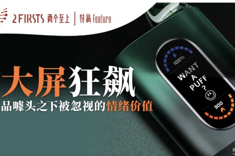 “大屏”狂飙：产品噱头之下被忽视的情绪价值