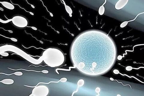 经常抽电子烟会影响精子质量吗？
