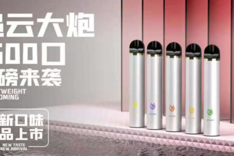 追云大炮电子烟价钱多少？