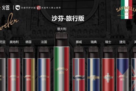 沙芬旅行版价格多少？