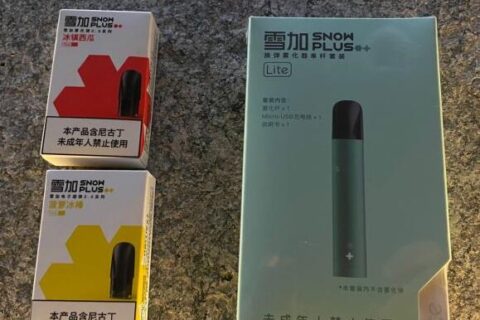 雪加lite烟弹在哪里买？雪加lite烟弹口味评测