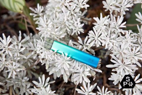 snowplus多少钱一支？官网售价多少？