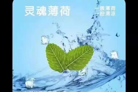 YOOZ五代烟弹灵魂薄荷口味评测