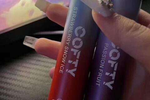 飞雾一次性电子烟多少一支？