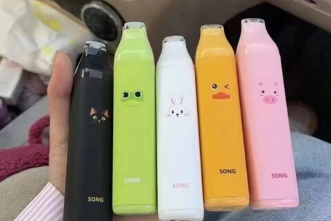 崧条一次性电子烟多少口？