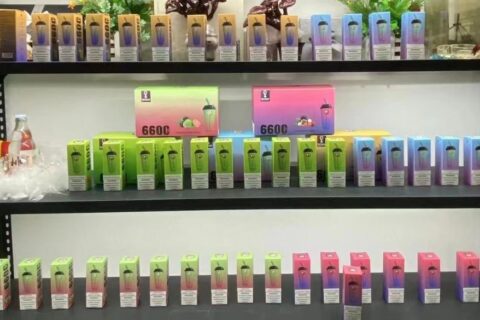 Wdg奶茶杯批发价格多少钱一个？