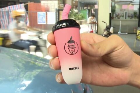 wdg奶茶杯购买渠道有哪些？现在还能买到吗？