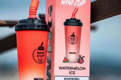 2022电子烟一次性畅销品牌排行榜：wdg奶茶杯、福禄大彩蛋、迷雾可乐罐